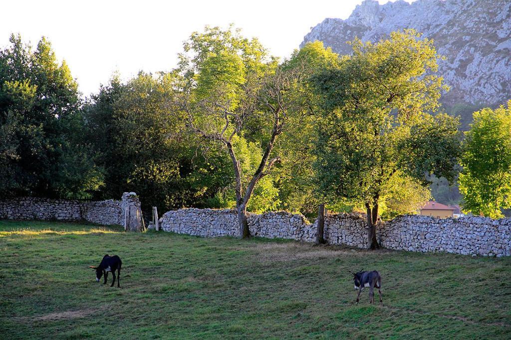 Apartamentos Rurales "Les Escueles De Collia" Esterno foto