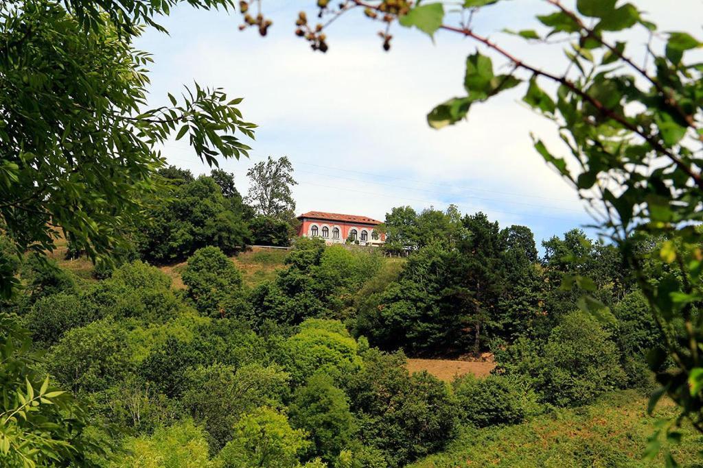 Apartamentos Rurales "Les Escueles De Collia" Esterno foto